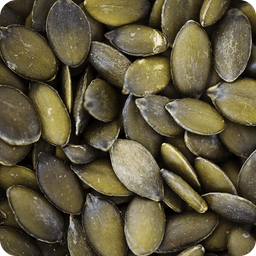Seeds