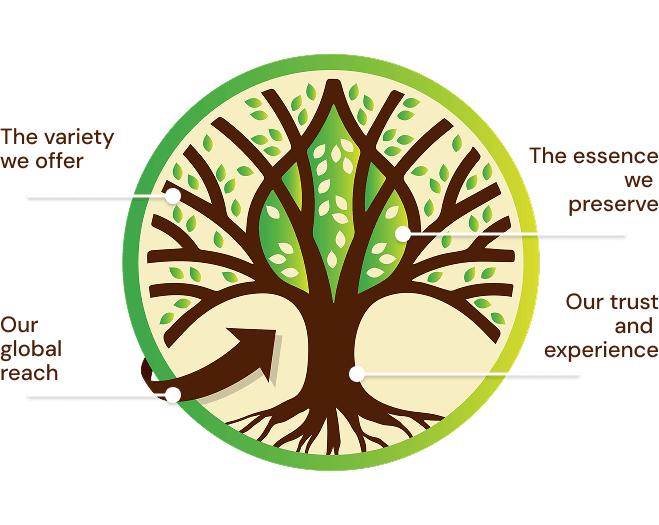 The Tree Shade company overview and heritage - premium spices and natural ingredients supplier since 1945