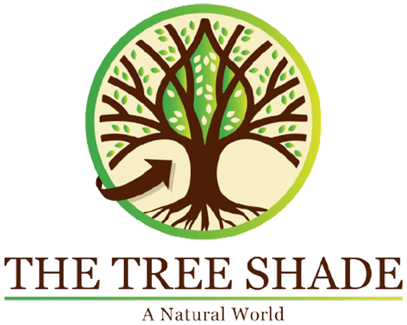 The Tree Shade company logo - premium spices and natural ingredients supplier